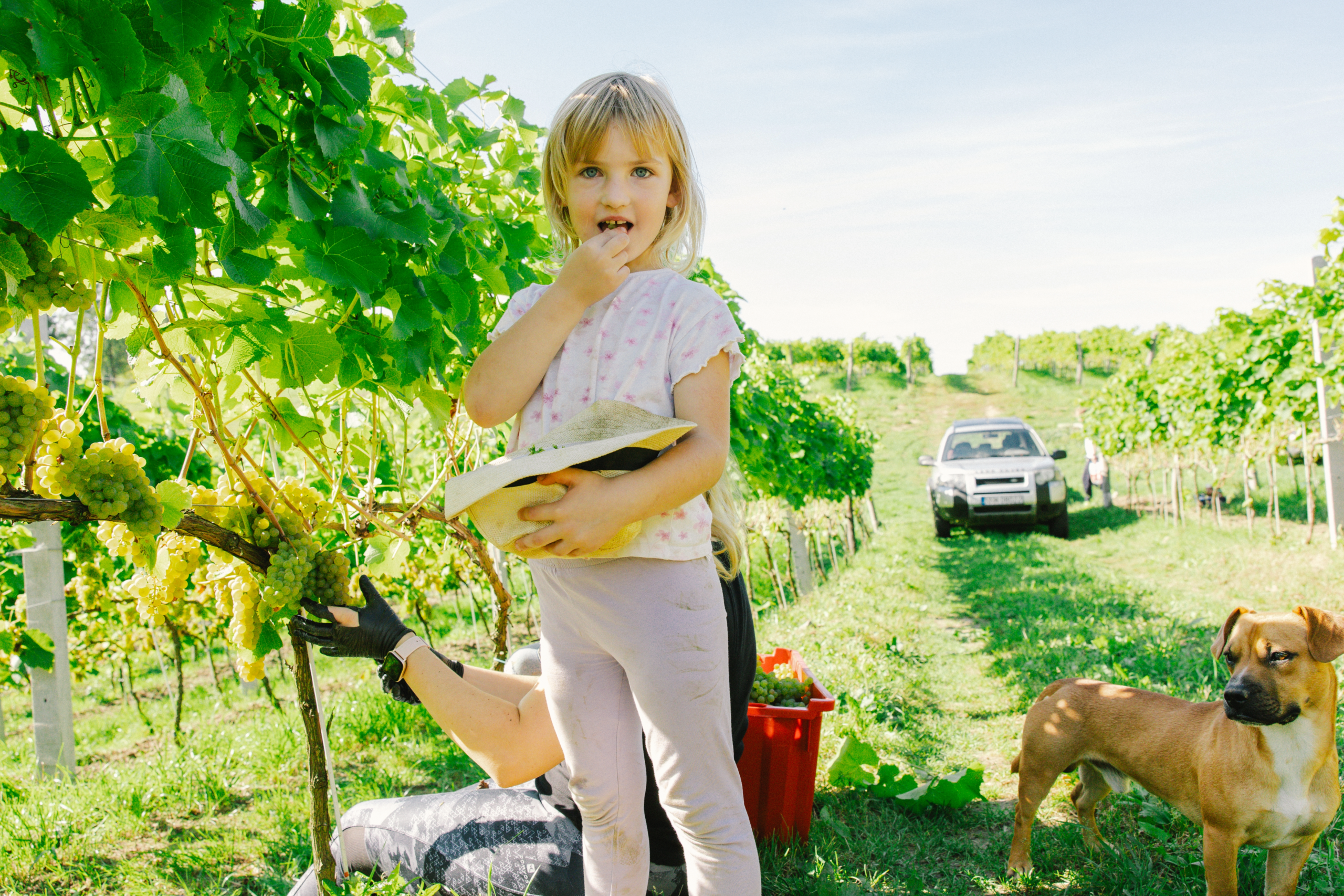 O Nas winosens865A7279