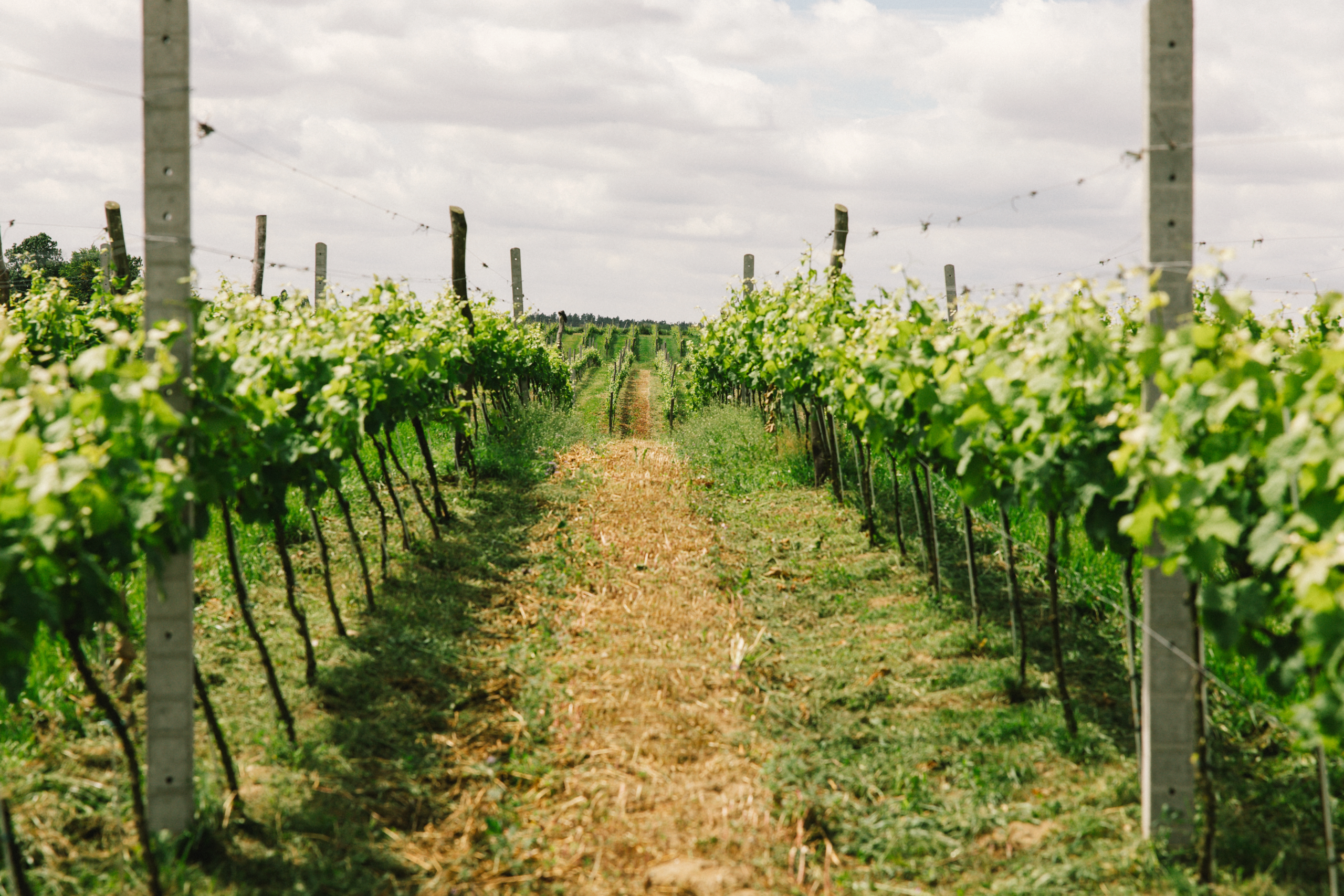 O Nas winosens865A7519