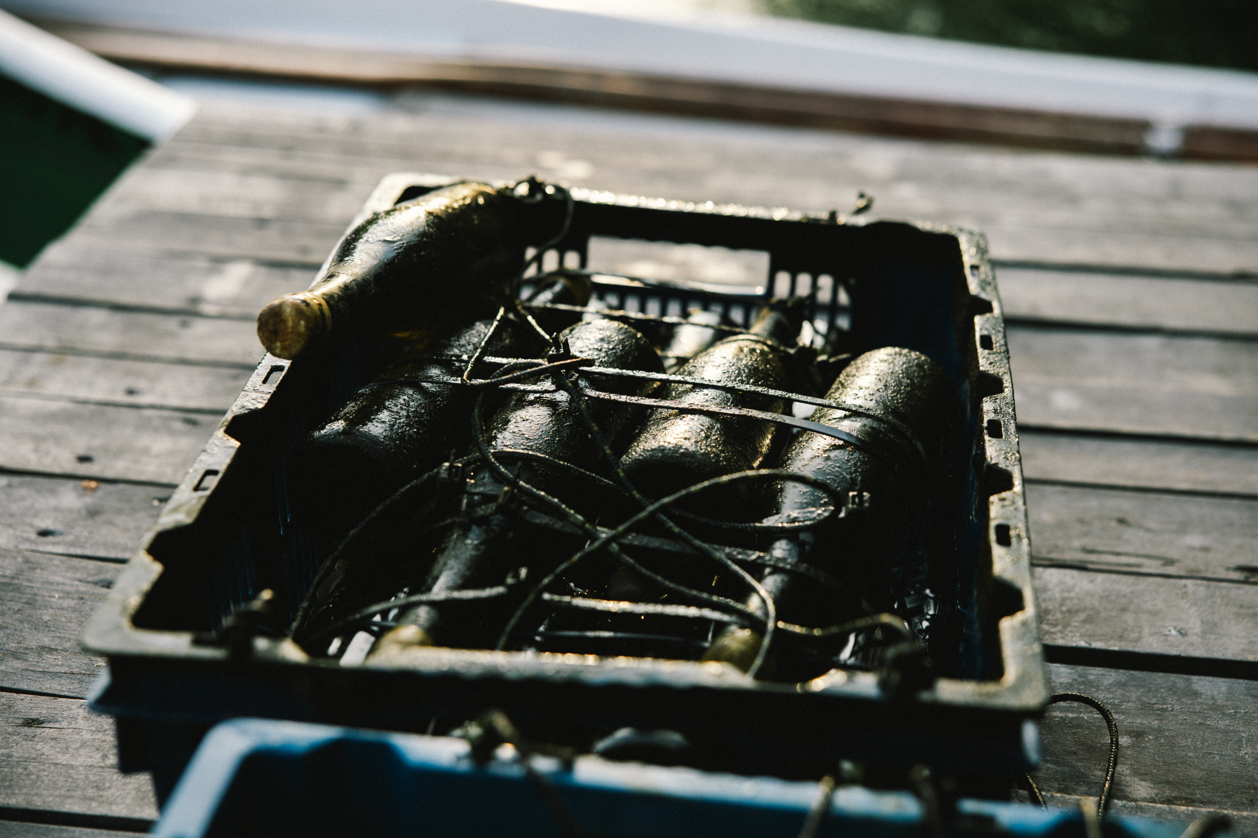 O Nas winosens865A7776